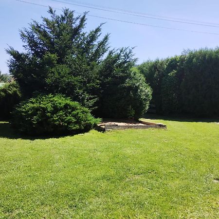 Penzion Kelt Hotel Zátor Kültér fotó